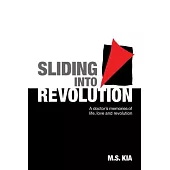 Sliding into Revolution: A doctor´s memories of life, love and revolution