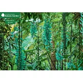 Jade Vine 1000 Piece Jigsaw Puzzle: Cambridge University Botanic Garden