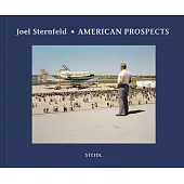 Joel Sternfeld: American Prospects