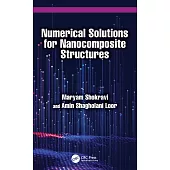 Numerical Solutions for Nanocomposite Structures