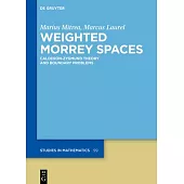 Weighted Morrey Spaces: Calderón-Zygmund Theory and Boundary Problems