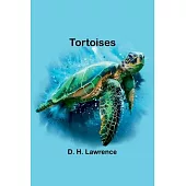 Tortoises