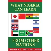 What Nigeria Can Learn From Other Nations