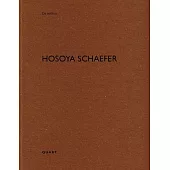Hosoya Schaefer