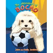 The Adventures of Bocho