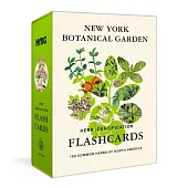 New York Botanical Garden Herb Identification Flashcards: 100 Common Herbs of North America
