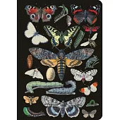 Vintage Butterflies Journal / Notebook / Diary - Lined Pages