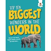 Top Ten Biggest Wonders in the World