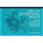 Life on Intertidal Rocks: Identifying Marine Life of the North Atlantic Coast’s Tidepools and Intertidal Zone