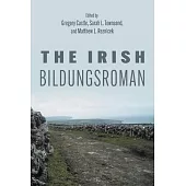 The Irish Bildungsroman