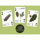 Top Trees: Playing Cards