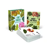 Top Trees: Playing Cards