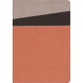 NIV Application Bible, Leathersoft, Coral/Gray, Red Letter, Thumb Indexed, Comfort Print: Bringing the Ancient Message of the Bible Into Your World