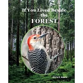 If You Lived Beside the Forest