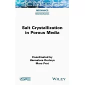 Salt Crystallization in Porous Media