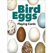 Bird Eggs Playing Cards