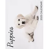 Puppies 2025 Calendar: 2025 Calendar