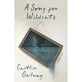 A Song for Wildcats: Stories