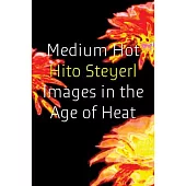 Medium Hot: Images in the Age of Heat