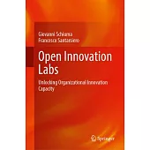 Open Innovation Labs: Unlocking Organizational Innovation Capacity