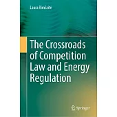 The Crossroads of Competition Law and Energy Regulation