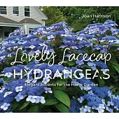 Lovely Lacecap Hydrangeas: Elegant Accents for the Home Garden