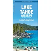 Lake Tahoe Wildlife