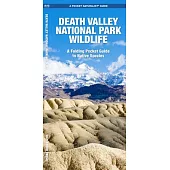 Death Valley National Park Wildlife