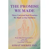 The Promise We Made: Three Universal Soul Promises We Made to Our Children.