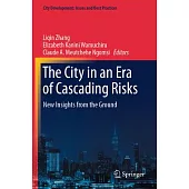 The City in an Era of Cascading Risks: New Insights from the Ground