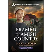 Framed in Amish Country