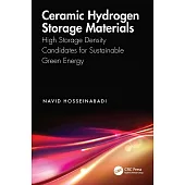 Ceramic Hydrogen Storage Materials: High Storage Density Candidates for Sustainable Green Energy