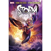 Storm Vol. 1