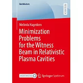 Minimization Problems for the Witness Beam in Relativistic Plasma Cavities