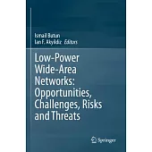 Low-Power Wide-Area Networks: Opportunities, Challenges, Risks and Threats