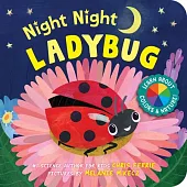 Night Night Ladybug