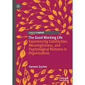 The Good Working Life: Experiencing Satisfaction, Meaningfulness, and Psychological Richness in Organizations