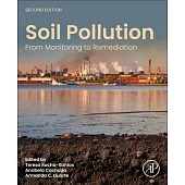 Soil Pollution: From Monitoring to Remediation