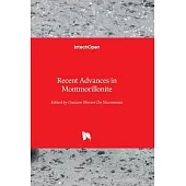 Recent Advances in Montmorillonite