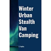 Winter Urban Stealth Van Camping