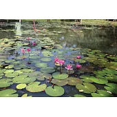 Gardens of Sri Lanka: 2000 Years of Landscape Architecture Tradition