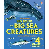 Big Book of Big Sea Creatures (Big Books)