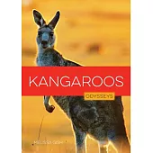 Kangaroos
