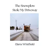 The Snowplow Stole My Driveway