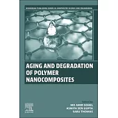 Aging and Degradation of Polymer Nanocomposites