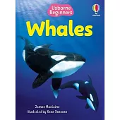 Beginners Whales