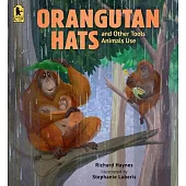 Orangutan Hats and Other Tools Animals Use