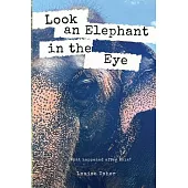Look an Elephant in the Eye