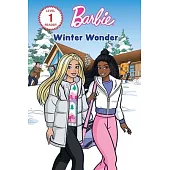Barbie: Snowstorm Surprise
