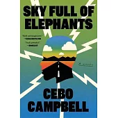 Sky Full of Elephants